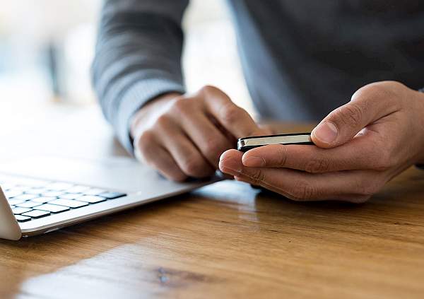 kontakt z oktawian ogrody oczka wodne na śląsku