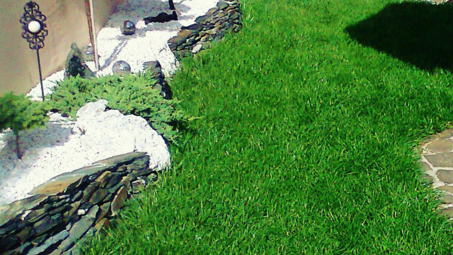 wykonanie trawników w Zabrzu na śląsku 