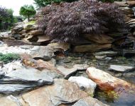 Siemianowice strumyk z bliska 15