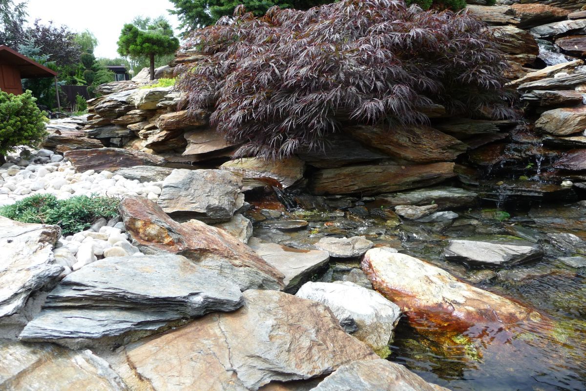 Siemianowice strumyk z bliska 15