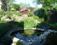 1Siemianowice przed wykonaniem oczka wodnego 1