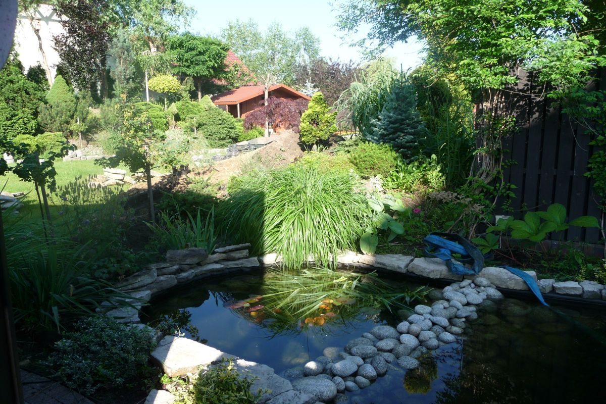 1Siemianowice przed wykonaniem oczka wodnego 1