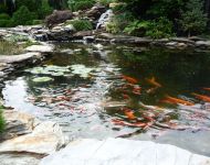 Siemianowice wykonanie oczka wodnego 5