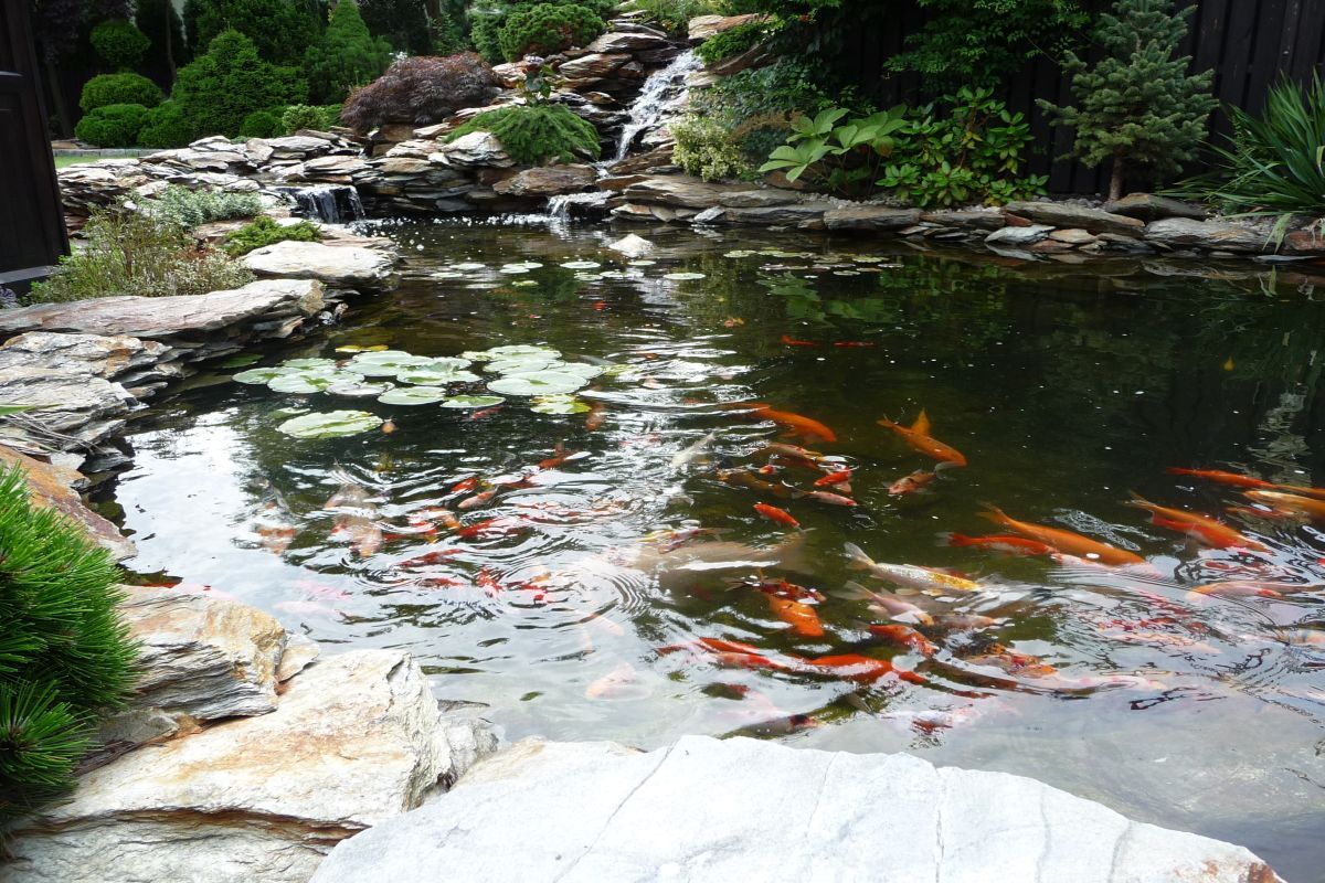 Siemianowice wykonanie oczka wodnego 5