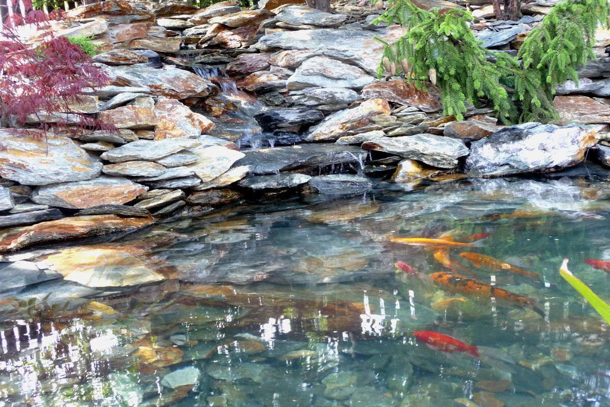 D. Gornicza wykonanie oczka wodnego 4