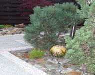 Wyry wykonanie załozenia ogrodu 6