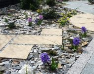 Wyry wykonanie załozenia ogrodu 4