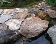 IMG 20180816 131847a