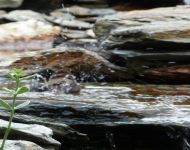 Siemianowice kaskada z bliska 24