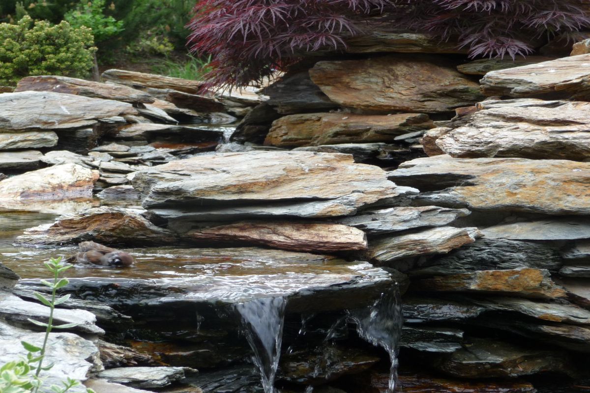 Siemianowice kaskada z bliska 23 (2)