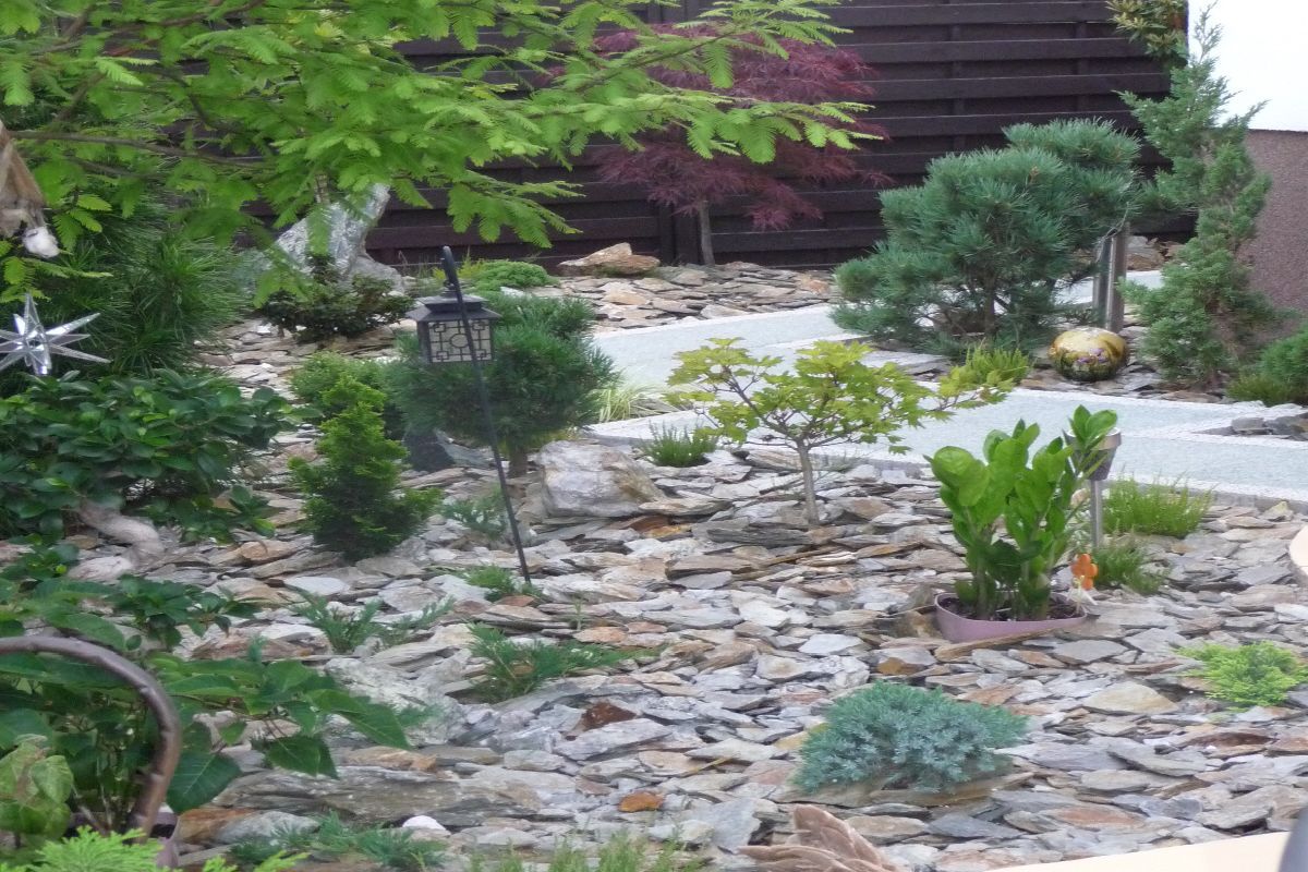 Wyry wykonanie załozenia ogrodu 5