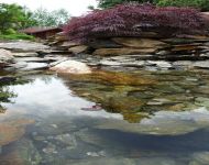 Siemianowice strumyk z bliska 16