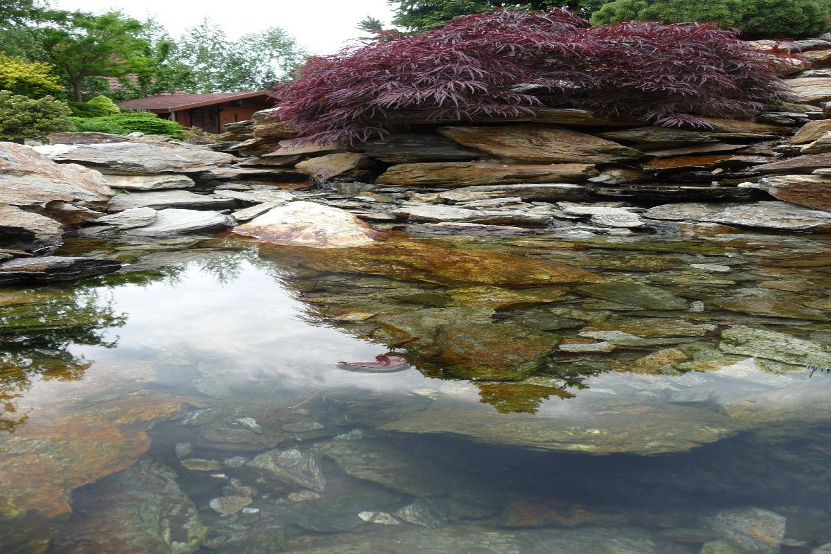 Siemianowice strumyk z bliska 16