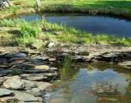 1przed-1bIMG 20170211 141048