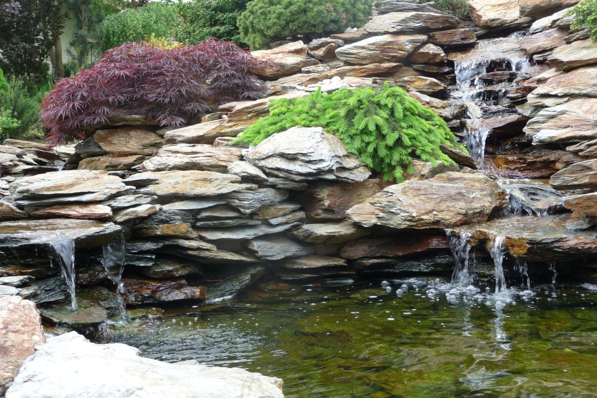 Siemianowice wykonanie oczka wodnego 3