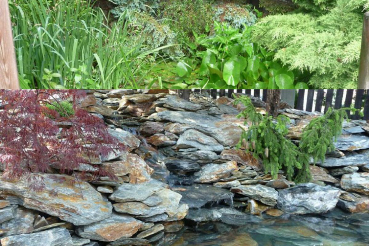 2 IMG 20170209 142605