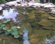 IMG 20180816 130842a