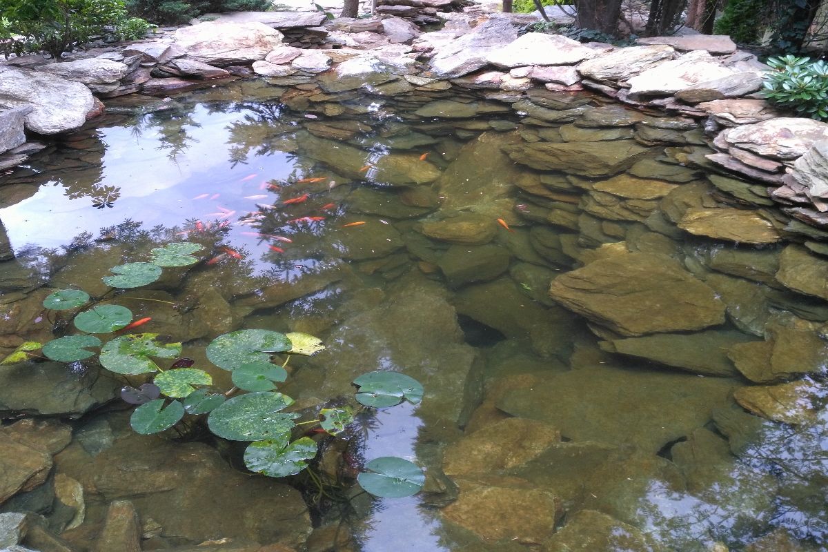 IMG 20180816 130842a