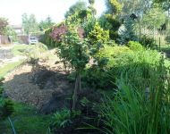 1Siemianowice przed wykonaniem strumienia 14