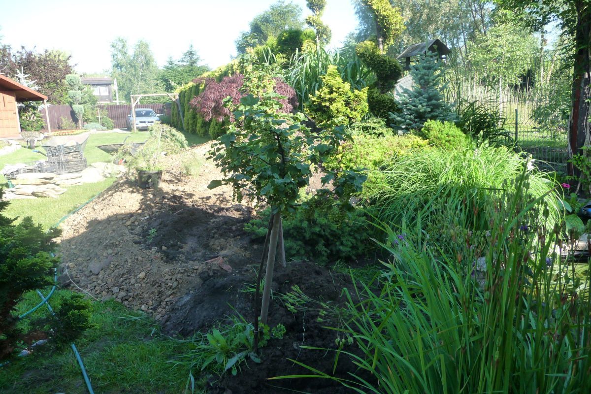 1Siemianowice przed wykonaniem strumienia 14