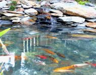 D. Gornicza wykonanie oczka wodnego 3