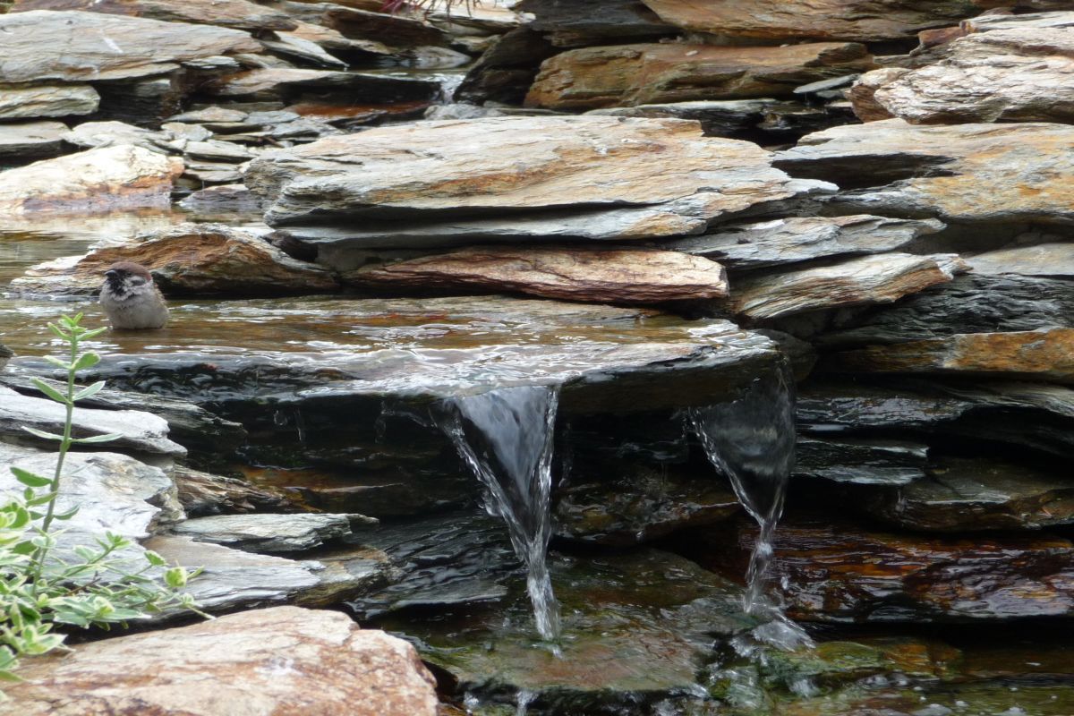 Siemianowice kaskada z bliska 22 (2)