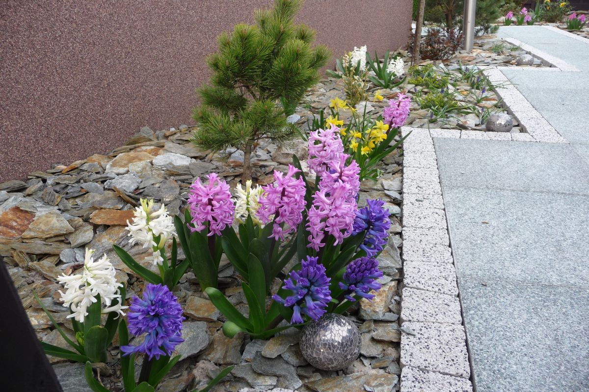 Wyry wykonanie załozenia ogrodu 7