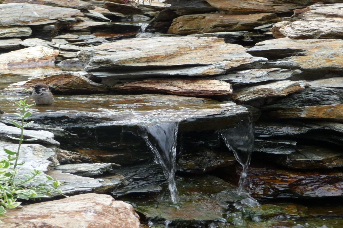 Siemianowice kaskada z bliska 22 (2)